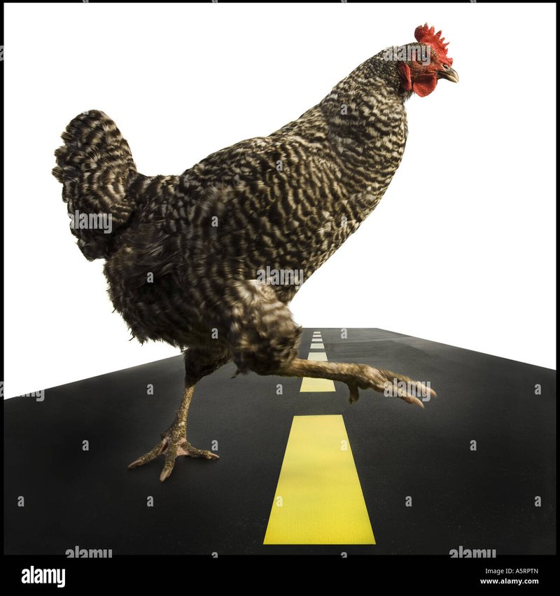 Image: Huidige Tendensen Rondom Het Populaire Gokspel Chicken Road in Nederland